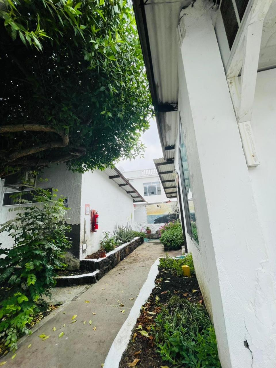 Hostal Darwin Puerto Ayora  Eksteriør bilde